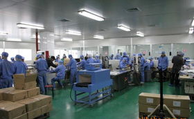 精華霜系列化妝品加工 一站式服務(wù)解析與選擇指南